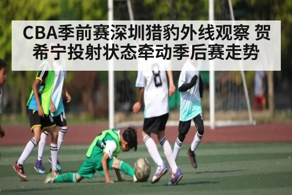 CBA季前赛深圳猎豹外线观察 贺希宁投射状态牵动季后赛走势 | ng28