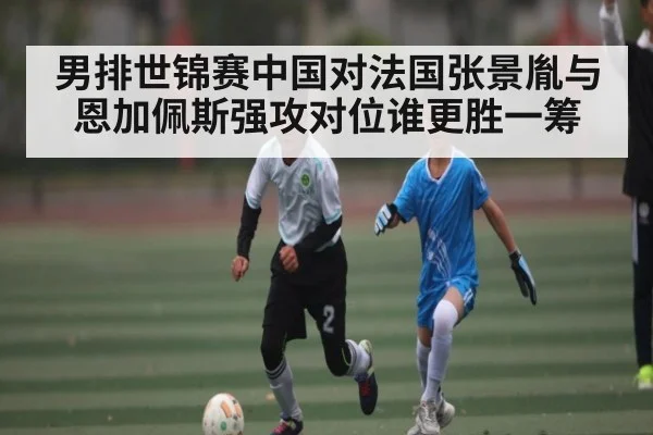 男排世锦赛中国对法国张景胤与恩加佩斯强攻对位谁更胜一筹 | ng28