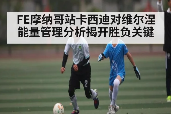 FE摩纳哥站卡西迪对维尔涅能量管理分析揭开胜负关键（ng28）